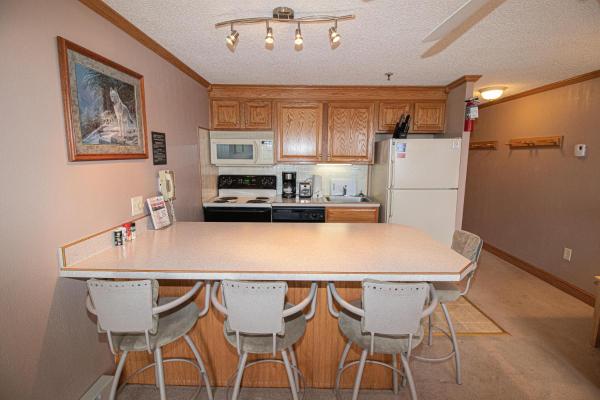 Mountain Lodge 1BR Condo - 226