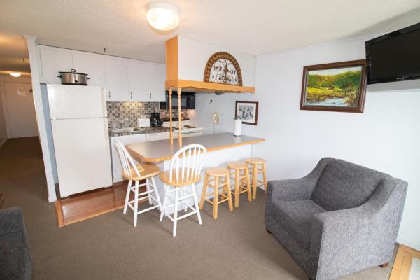 Mountain Lodge 1BR Condo - EU