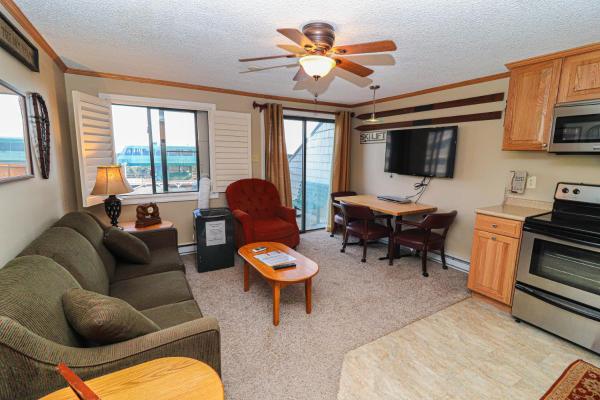 Mountain Lodge 1BR Condo - 328A