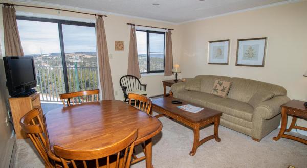 Mountain Lodge 1BR Condo - 338