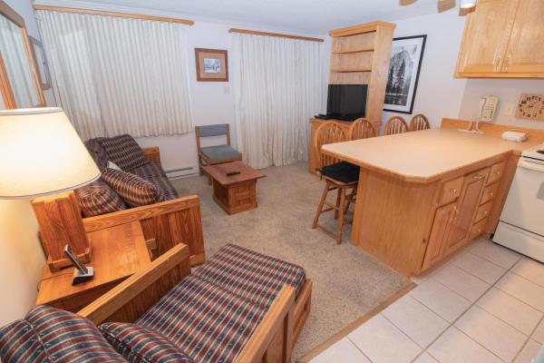 One Bedroom Apartment 1